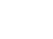 Action Academy Millionaire Mentorship